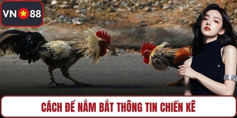 Cách để nắm bắt thông tin chiến kê