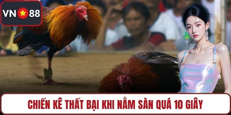 Chiến kê thất bại khi nằm sàn quá 10 giây