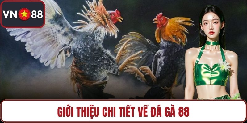 Giới thiệu chi tiết về đá gà 88