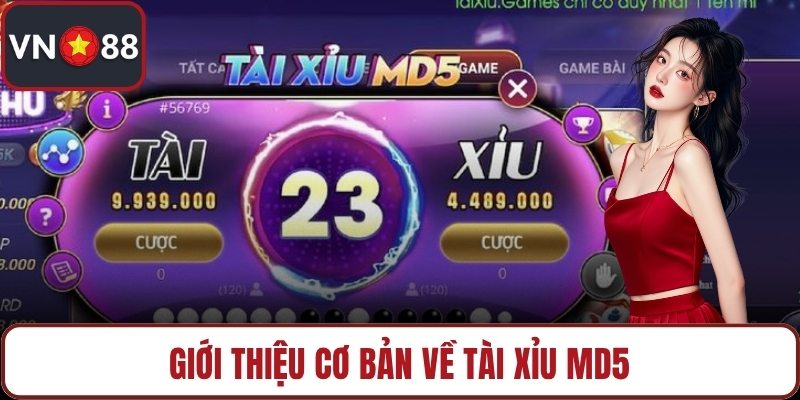 Giới thiệu cơ bản về tài xỉu MD5