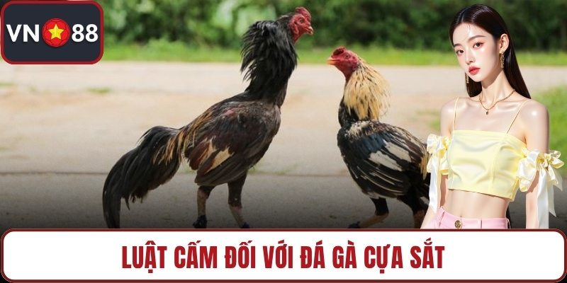 Luật cấm đối với đá gà cựa sắt