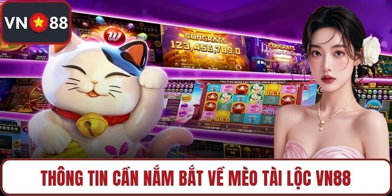 Thông tin cần nắm bắt về mèo tài lộc VN88