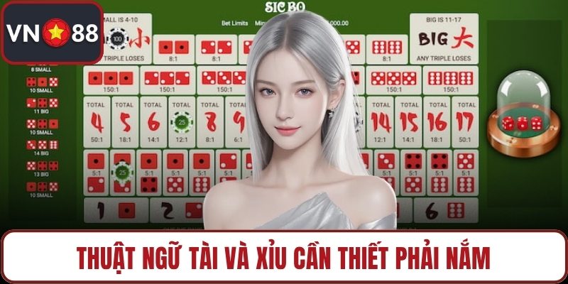 Thuật ngữ tài và xỉu cần thiết phải nắm