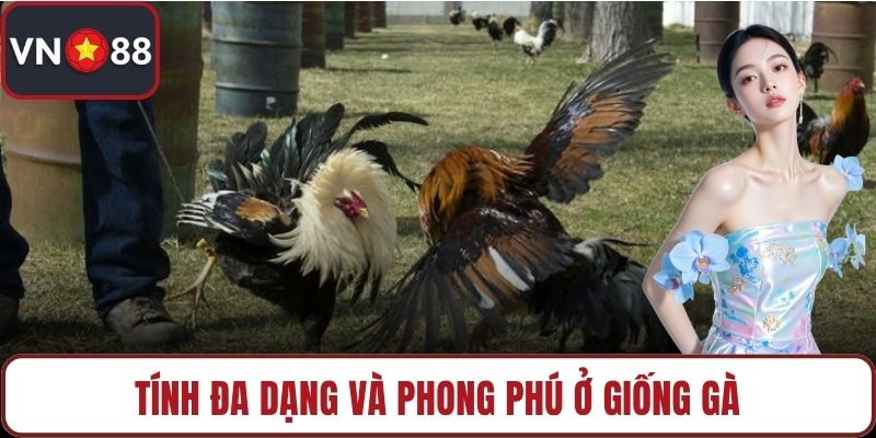 Tính đa dạng và phong phú ở giống gà